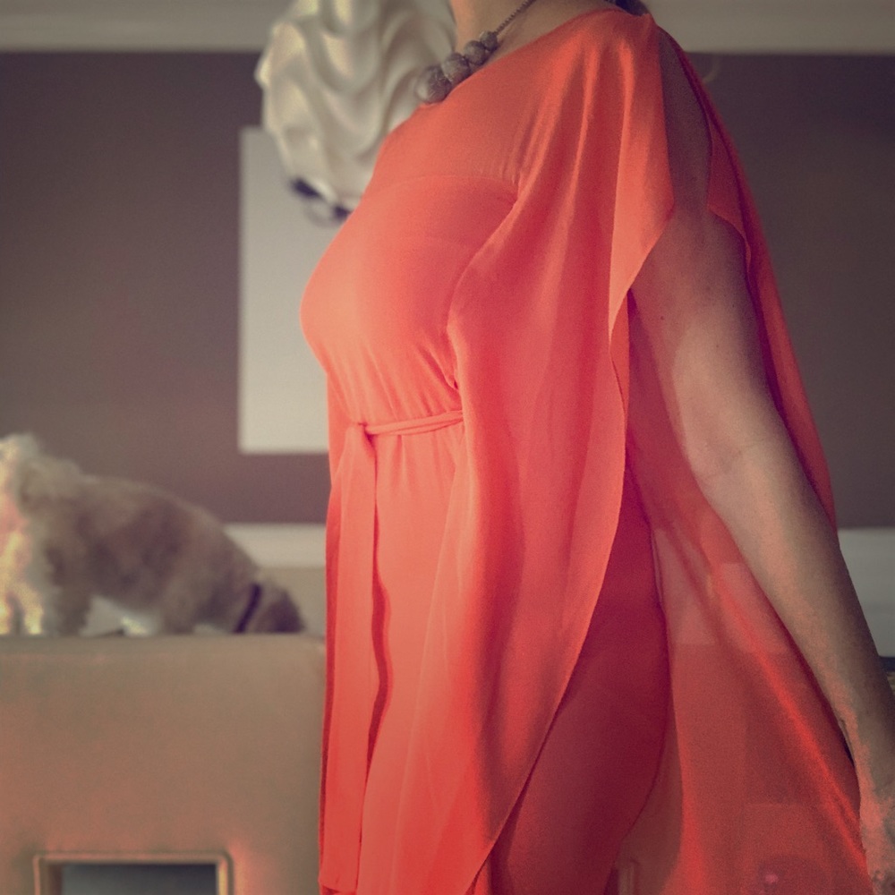 Stunning BCBGMAXAZRIA Dress XXS